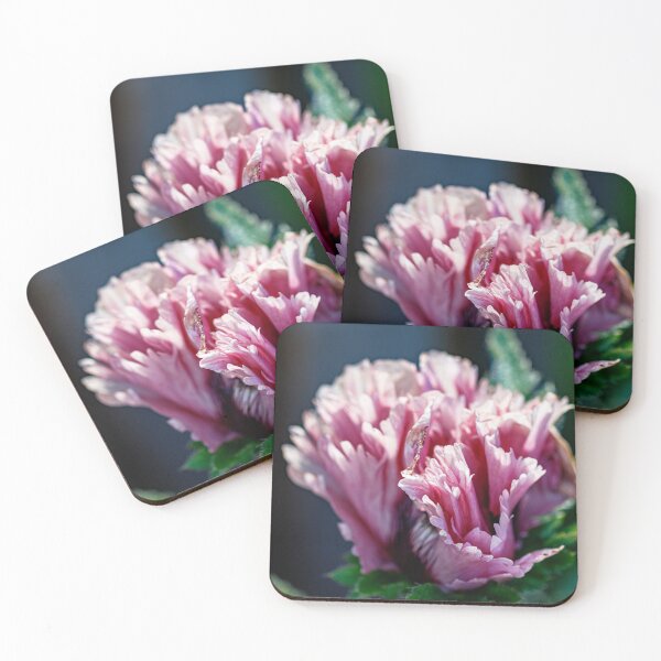 Item preview, Frilly purple oriental poppy designed and sold by jillianbutolphphoto.