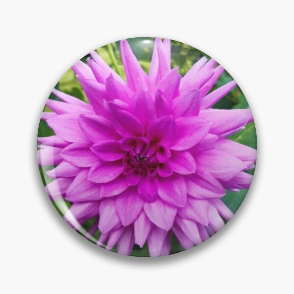 Item preview, Dahlia in bloom purple flower photography  designed and sold by OakendOriginals.
