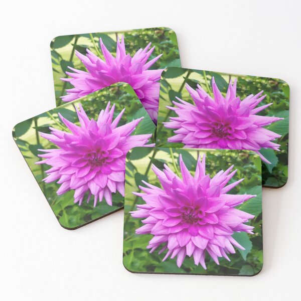 Item preview, Dahlia in bloom purple flower photography  designed and sold by OakendOriginals.