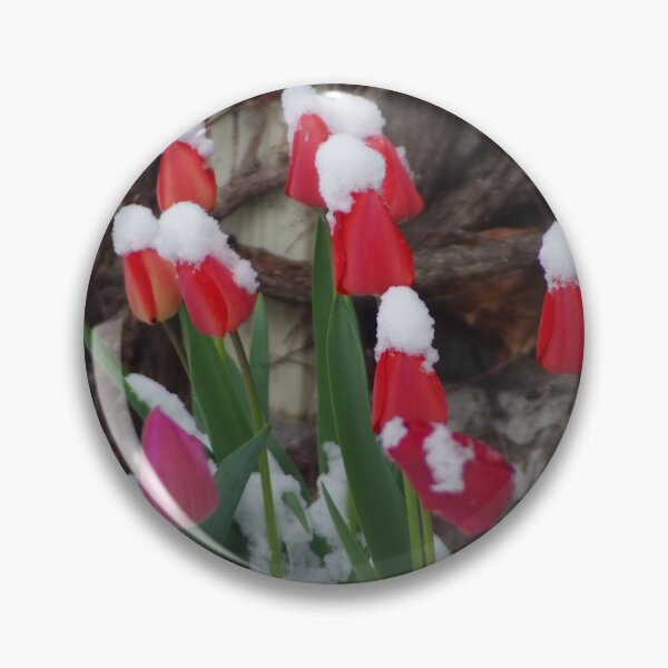 Item preview, Tulips and April Snow designed and sold by SRosuphotos.