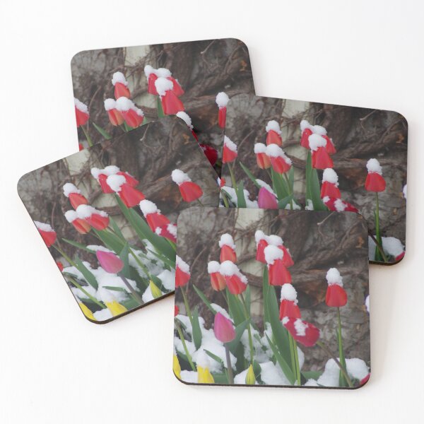 Item preview, Tulips and April Snow designed and sold by SRosuphotos.