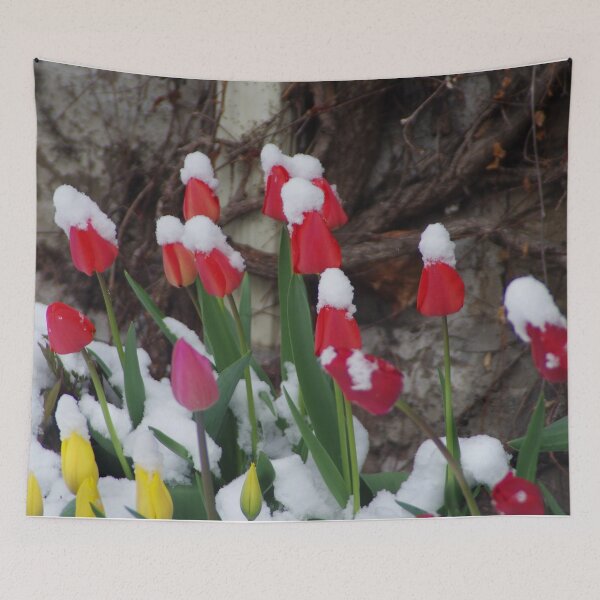 Item preview, Tulips and April Snow designed and sold by SRosuphotos.