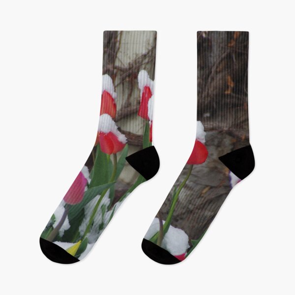 Item preview, Tulips and April Snow designed and sold by SRosuphotos.
