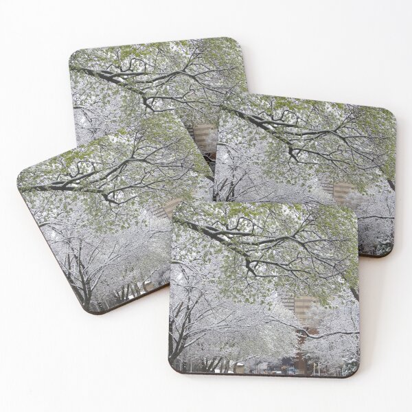 Item preview, When Winter and Spring meet in the City designed and sold by SRosuphotos.