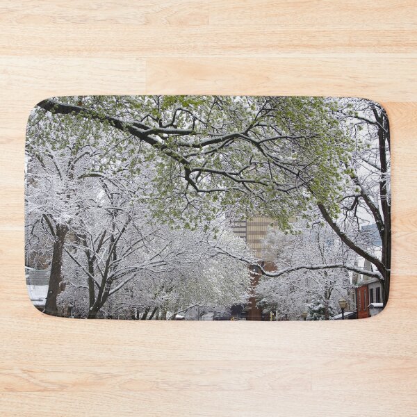Item preview, When Winter and Spring meet in the City designed and sold by SRosuphotos.