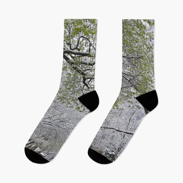 Item preview, When Winter and Spring meet in the City designed and sold by SRosuphotos.