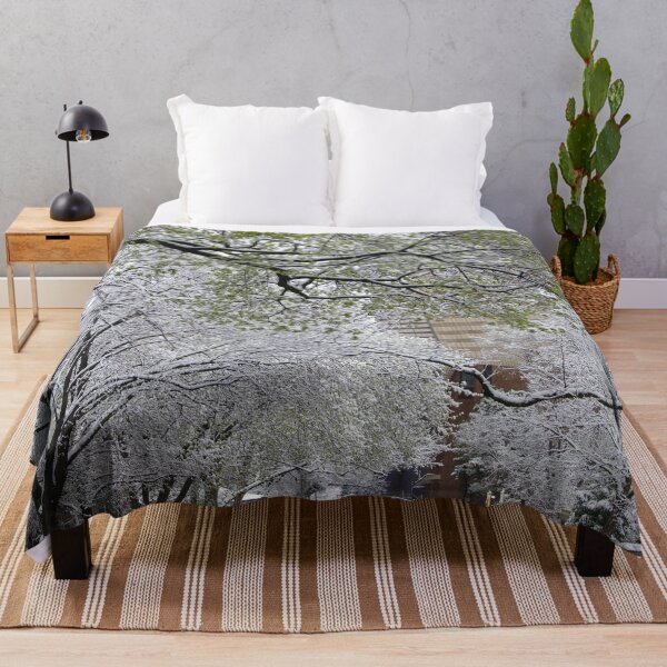 Item preview, When Winter and Spring meet in the City designed and sold by SRosuphotos.