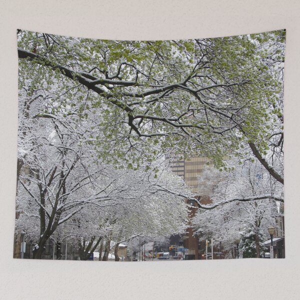 Item preview, When Winter and Spring meet in the City designed and sold by SRosuphotos.