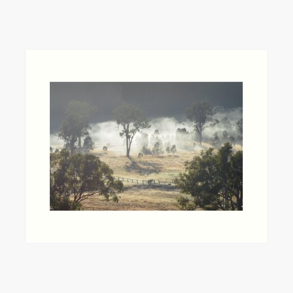Australian Landscape - Morning Fog Art Print