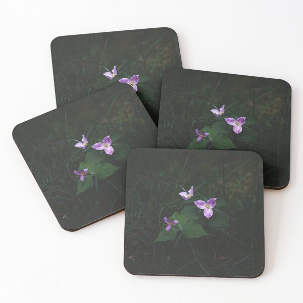 Item preview, Trillium Flowers designed and sold by Brandt Campbell.