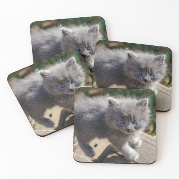 Item preview, Spruce designed and sold by OhSnapPhoto.