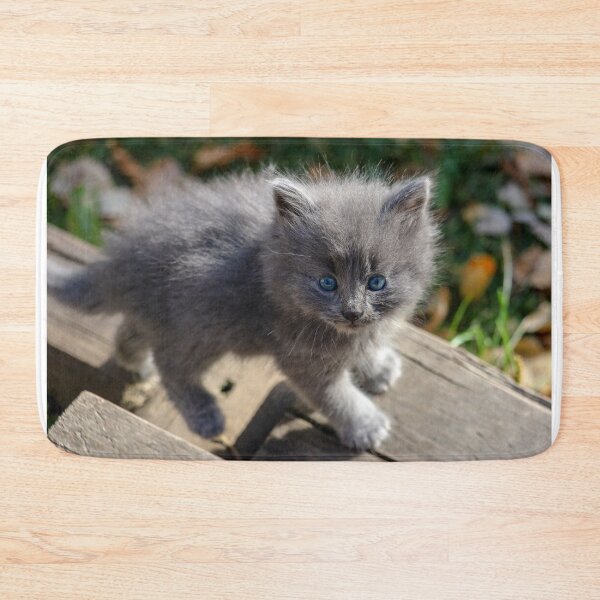 Item preview, Spruce designed and sold by OhSnapPhoto.