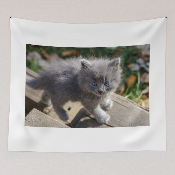 Item preview, Spruce designed and sold by OhSnapPhoto.