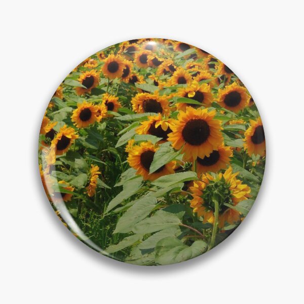 Item preview, Turn Around designed and sold by John Schneider.