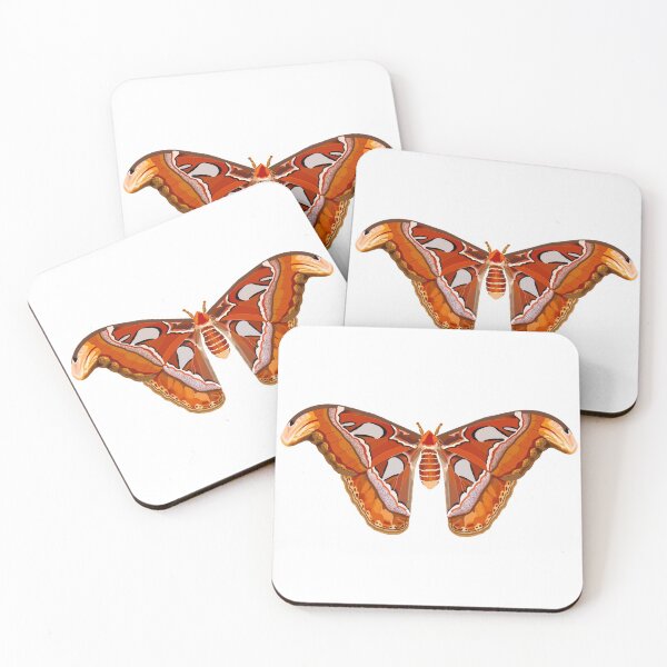 Item preview, Atlas Moth Art Sticker  designed and sold by Katlligraphy.