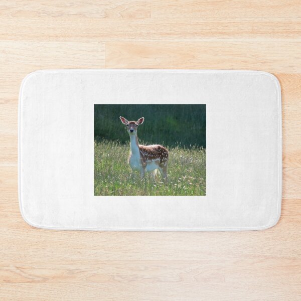 Item preview, A Beautiful Fallow Deer designed and sold by Karen Thomson.
