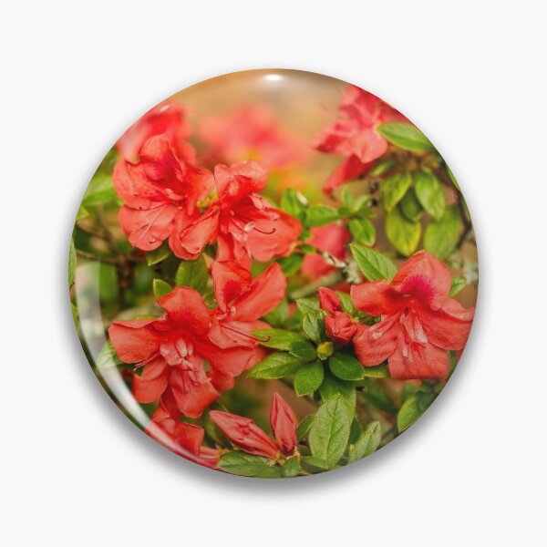 Item preview, Masses of Azaleas designed and sold by Kay Brewer.
