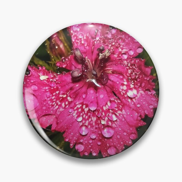 Item preview, Water drop on flower  designed and sold by ClaudiaAllx.