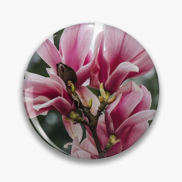 Item preview, Marvellous Magnolia  designed and sold by ChloePorter17.