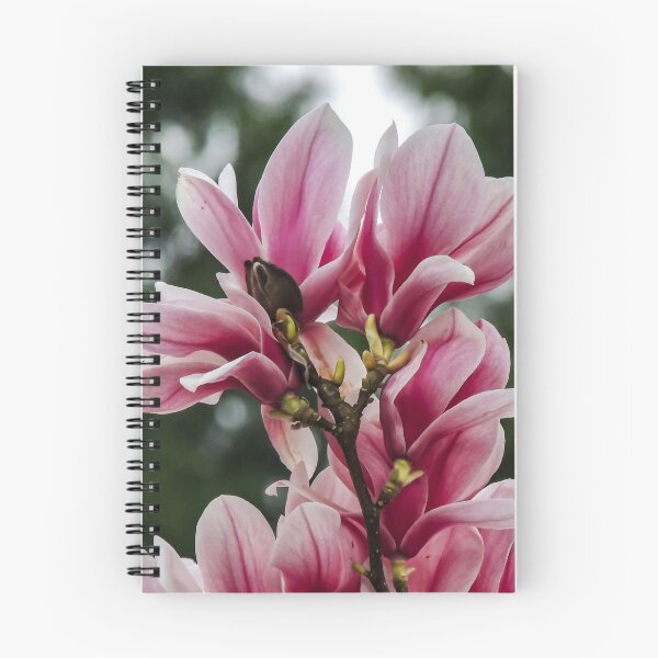 Artikelvorschau, Wunderbare Magnolie entworfen und verkauft von ChloePorter17.