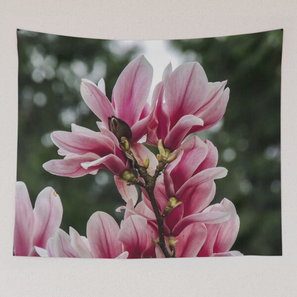 Item preview, Marvellous Magnolia  designed and sold by ChloePorter17.