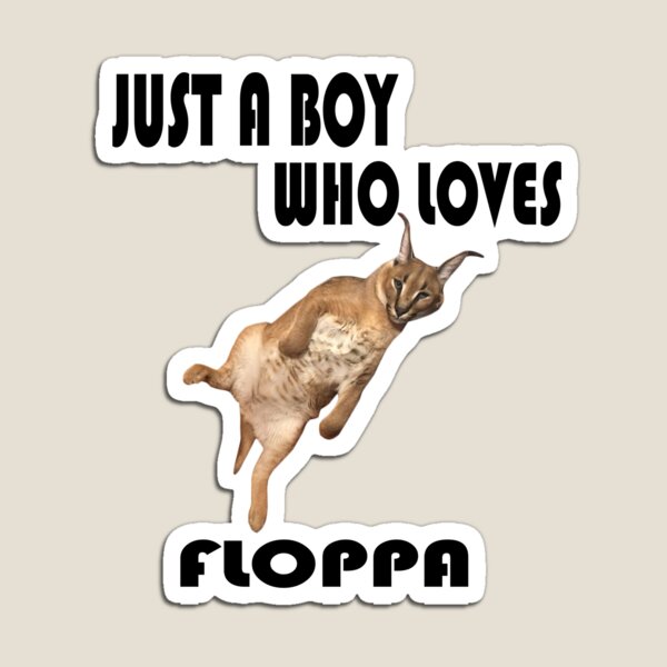 Happy floppa friday guys! . . . . . . . IGNORE #lovecats #instacat