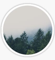 muir woods | mill valley, california Sticker