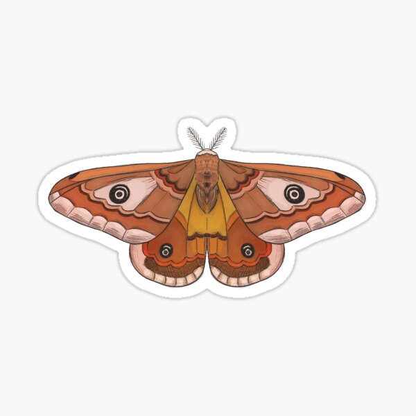 Item preview, Moth designed and sold by MeiliDaniel.