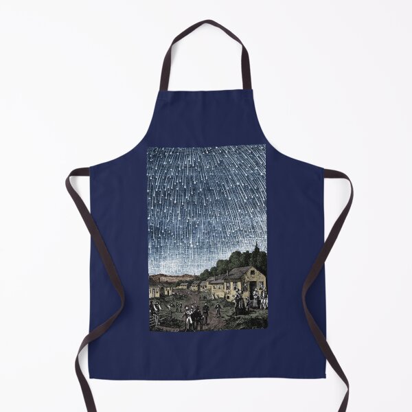 Item preview, Leonid Meteor Shower 1833, History of Astronomy designed and sold by ScienceSource.