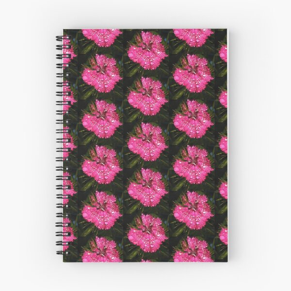 Item preview, Water drop on flower  designed and sold by ClaudiaAllx.