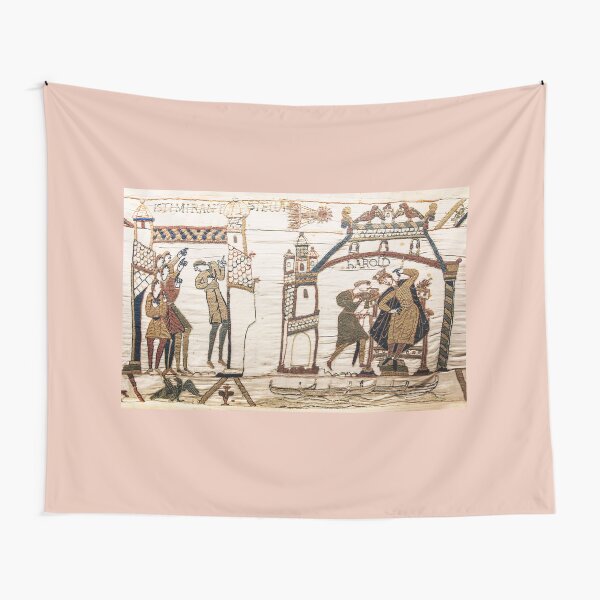 Bayeux Tapestry, Halley's Comet of 1066, Astronomy Tapestry