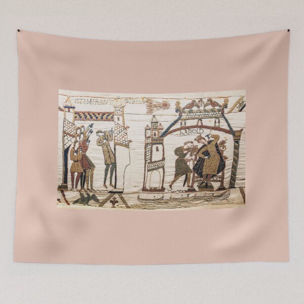 Item preview,  Bayeux Tapestry, Halley's Comet of 1066, Astronomy designed and sold by ScienceSource.