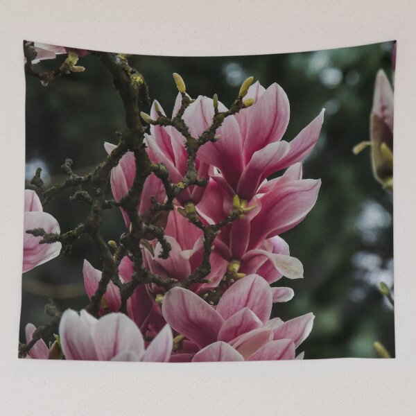 Artikelvorschau, Magnolienblüten entworfen und verkauft von ChloePorter17.