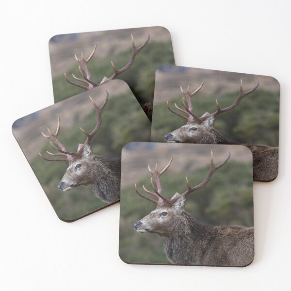 Item preview, Red Deer Stag with Antlers designed and sold by derekbeattie.