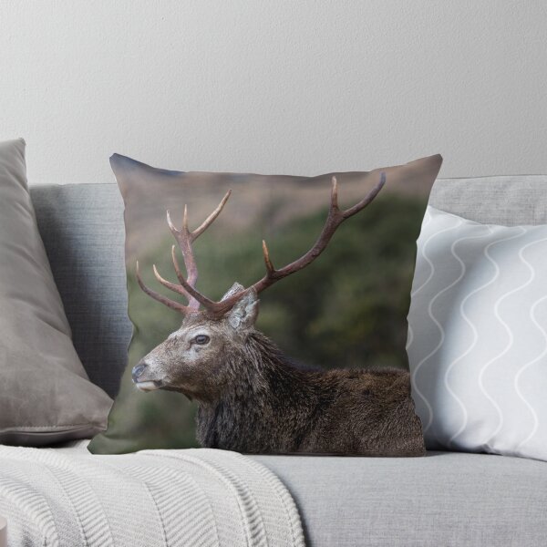Item preview, Red Deer Stag with Antlers designed and sold by derekbeattie.