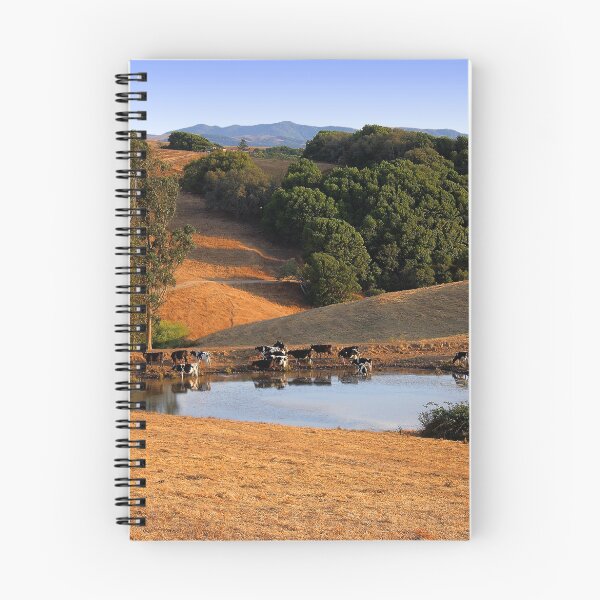 Item preview, Las vacas beben de un estanque en las colinas de Petaluma de California designed and sold by Wernher Krutein.