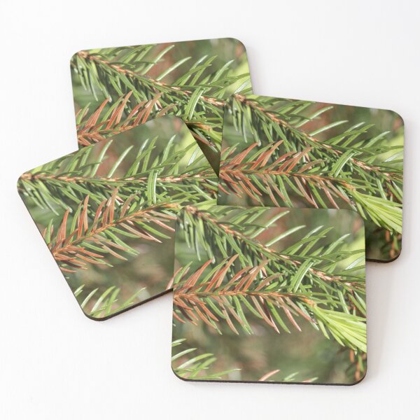 Item preview, Macro photo of brown and green needles of a sick fir tree designed and sold by Zosimus.