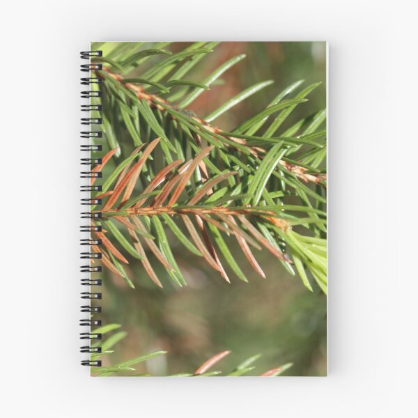 Item preview, Macro photo of brown and green needles of a sick fir tree designed and sold by Zosimus.