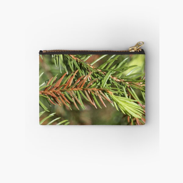 Item preview, Macro photo of brown and green needles of a sick fir tree designed and sold by Zosimus.