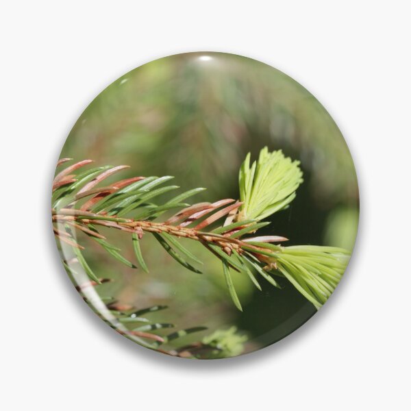 Item preview, Brown and green needles of a sick fir tree designed and sold by Zosimus.