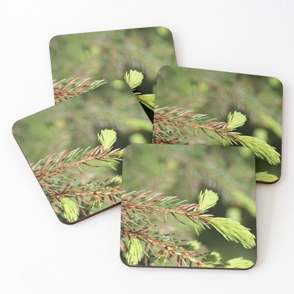 Item preview, Brown and green needles of a sick fir tree designed and sold by Zosimus.