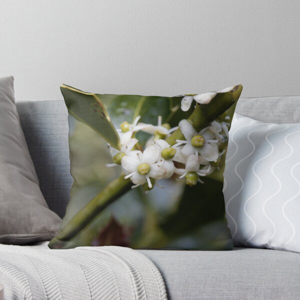 Item preview, Flowers of a common holly, Ilex aquifolium designed and sold by Zosimus.