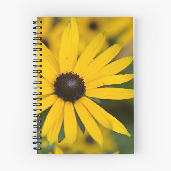 Artikelvorschau, Sonnenschein und Blumen entworfen und verkauft von GFPhotography.