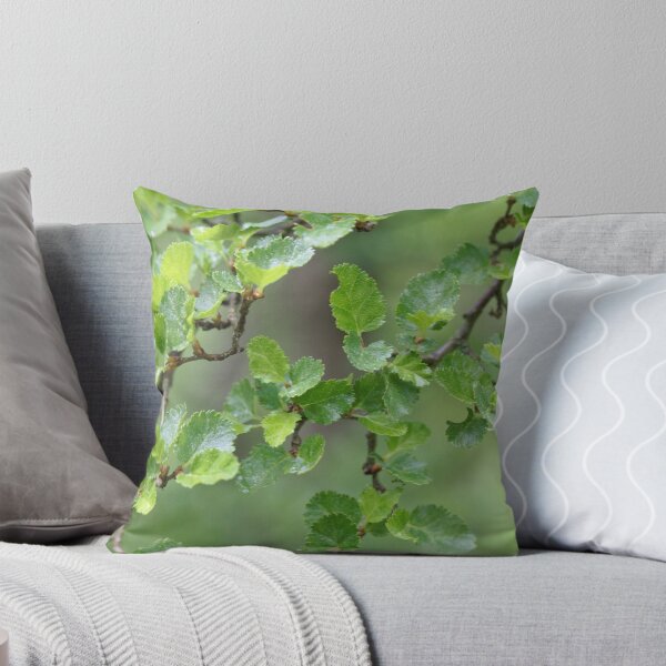 Item preview, Close-up photo of leaves of an Antarctic Beech, Nothofagus antarctica designed and sold by Zosimus.