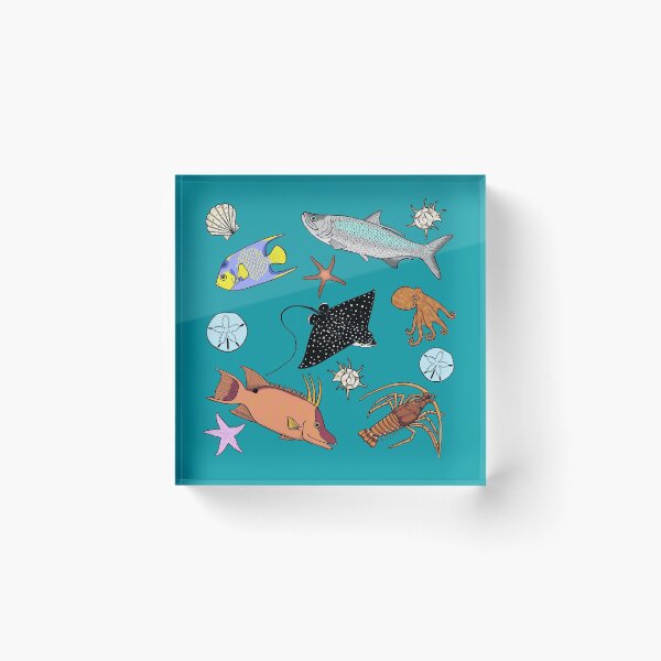 Item preview, Florida Keys Sealife designed and sold by sharkbait83.