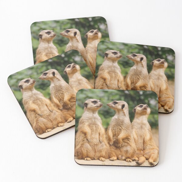 Item preview, Meerkat 07 designed and sold by JAMFoto.
