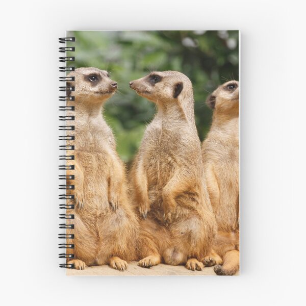 Item preview, Meerkat 07 designed and sold by JAMFoto.