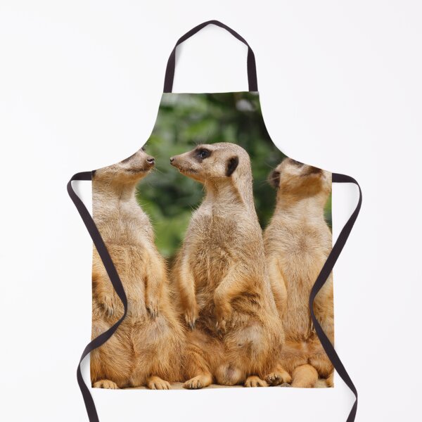 Item preview, Meerkat 07 designed and sold by JAMFoto.