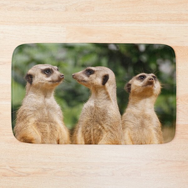 Item preview, Meerkat 07 designed and sold by JAMFoto.