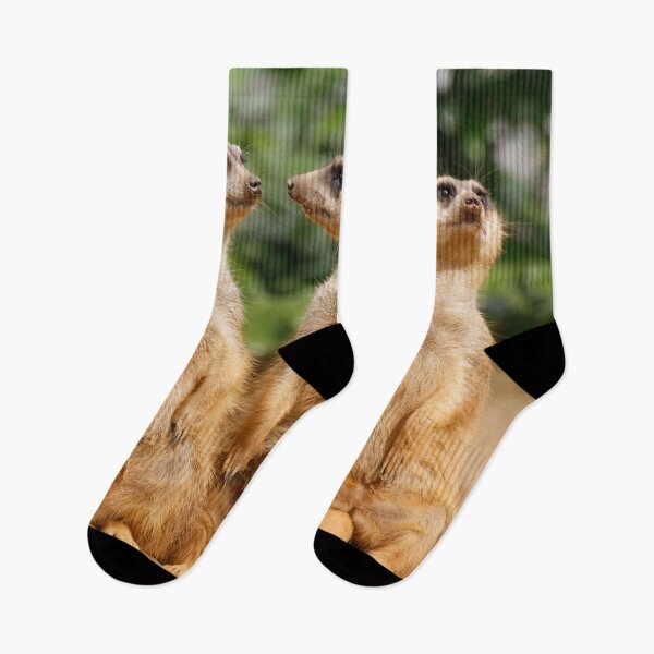 Item preview, Meerkat 07 designed and sold by JAMFoto.